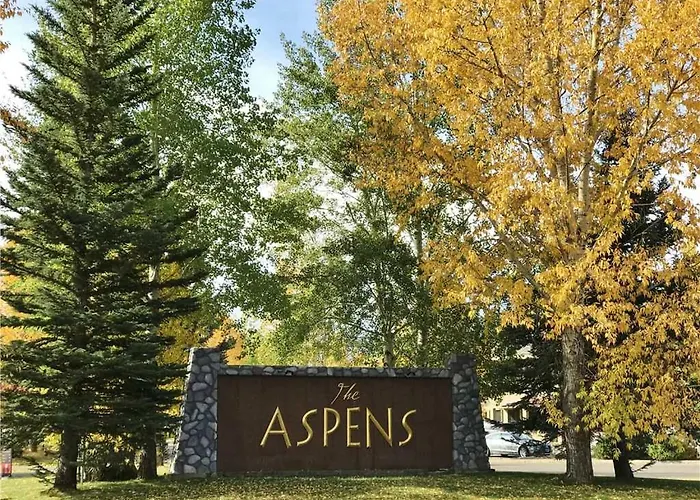 Rmr: Spruces 6 In The Aspenswilsonwy *